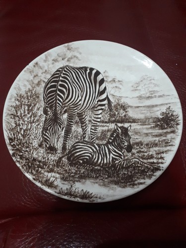 Poole pottery england - poole, zebra